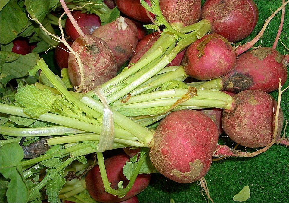 Beet