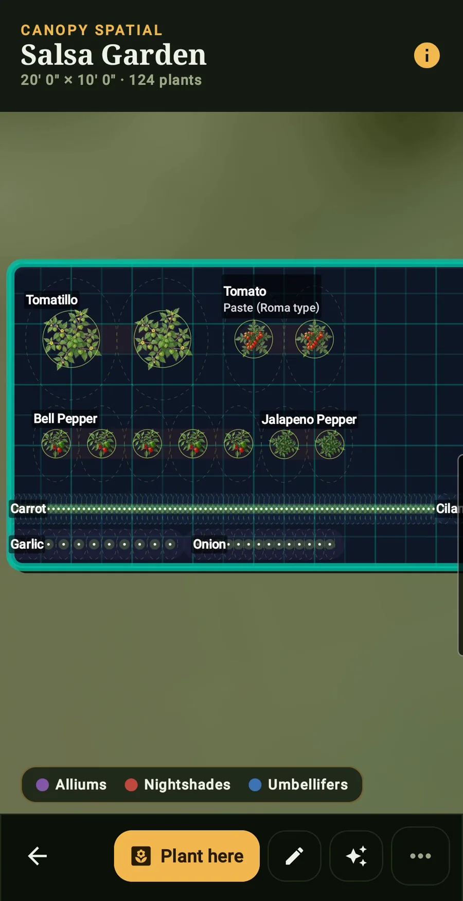 The garden map: beds drawn to scale with every planting placed